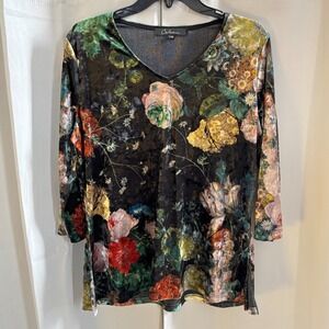 Vtg Fairygoth Womens Top Large Velvet Floral Whimsigoth Y2K Boho Fairy 17999x